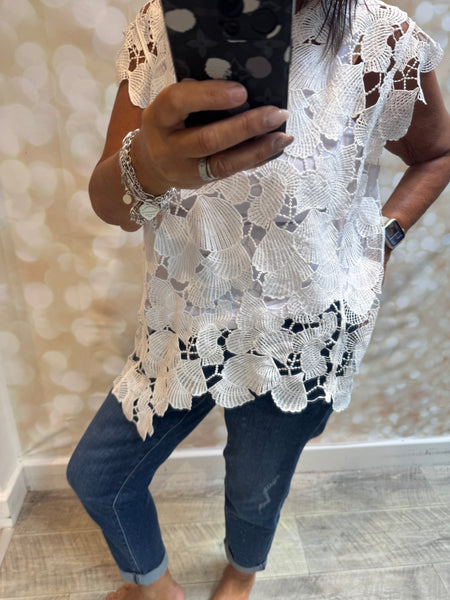 Shell Cut Out Top