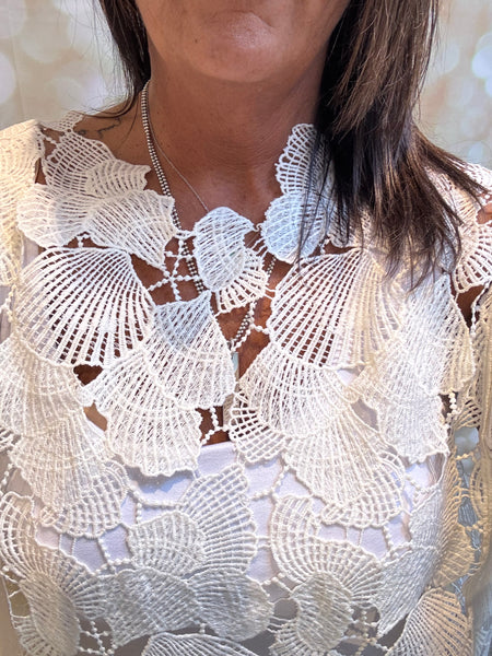 Shell Cut Out Top